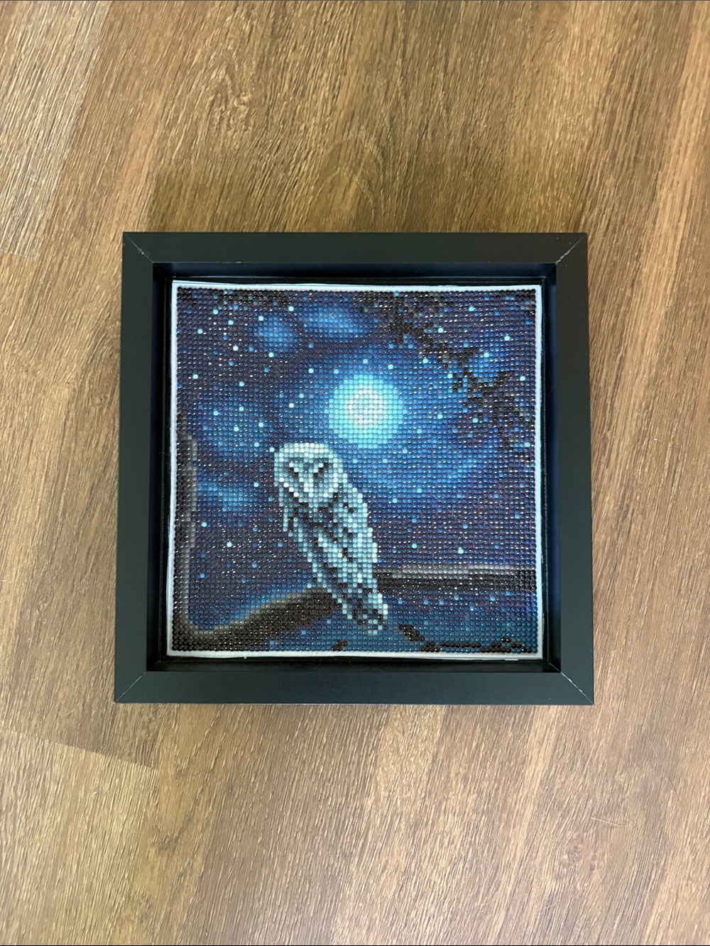 Framed Night Owl Wall Art - Blue